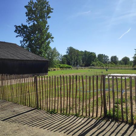 Villa 'T Dagwant Geraardsbergen Esterno foto